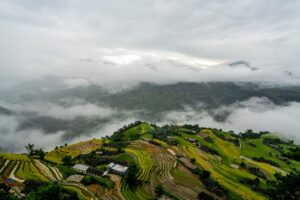 訪問看護の転職でステップアップした成功事例は？