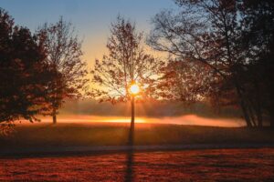 訪問看護のスキル低下が心配な場合、どう対処すれば良い？