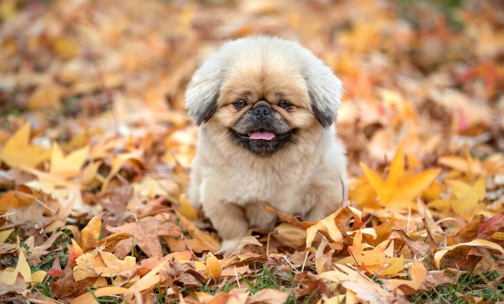 訪問看護で夜勤はあるか、具体的な勤務体制は？