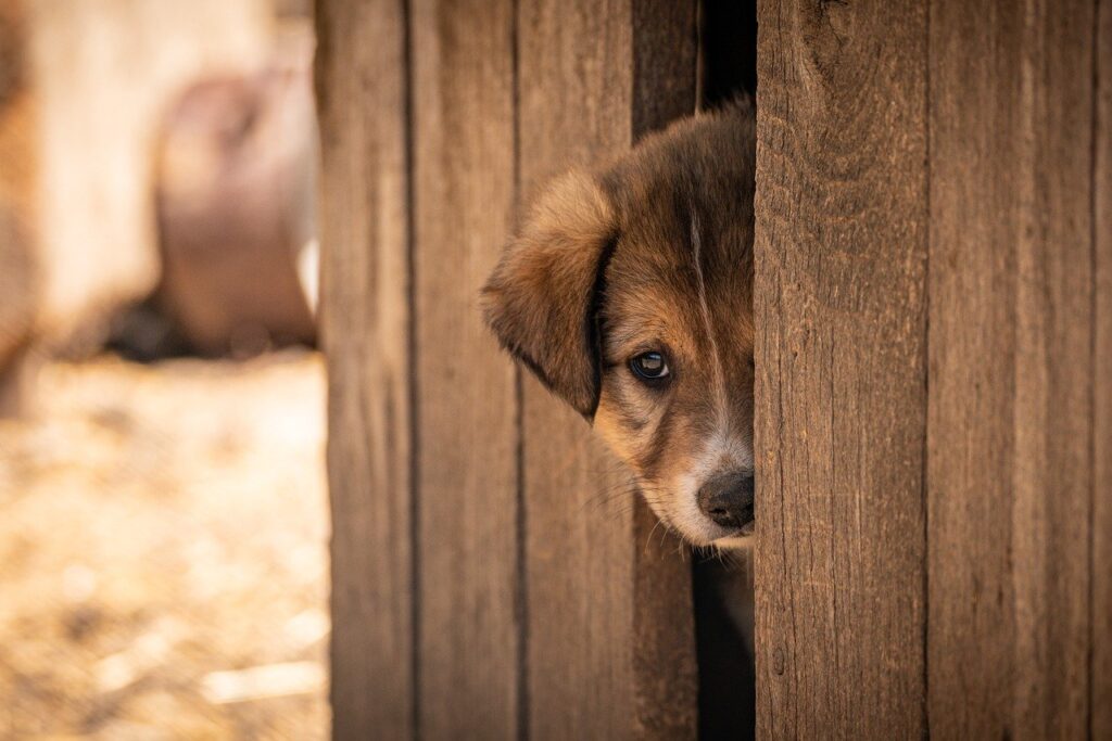 施設内訪問看護の転職に成功するためのポイントは？