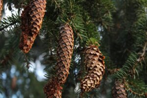 訪問看護で経験する大変なこととは？