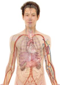 訪問看護でブランクから復帰するためのステップは？