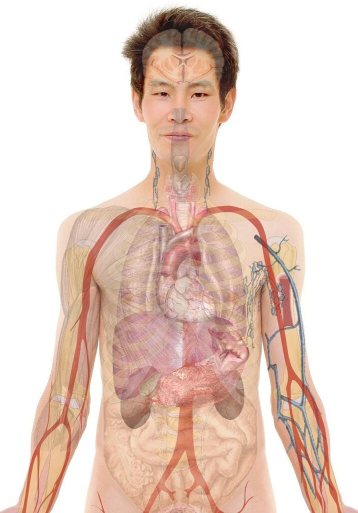 訪問看護の勤務時間は実際どのくらい？